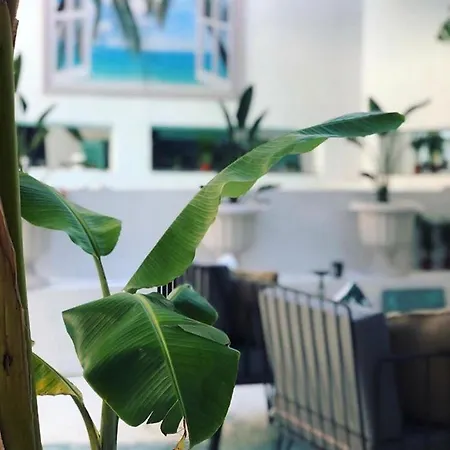 Villa White Stone House Bodrum